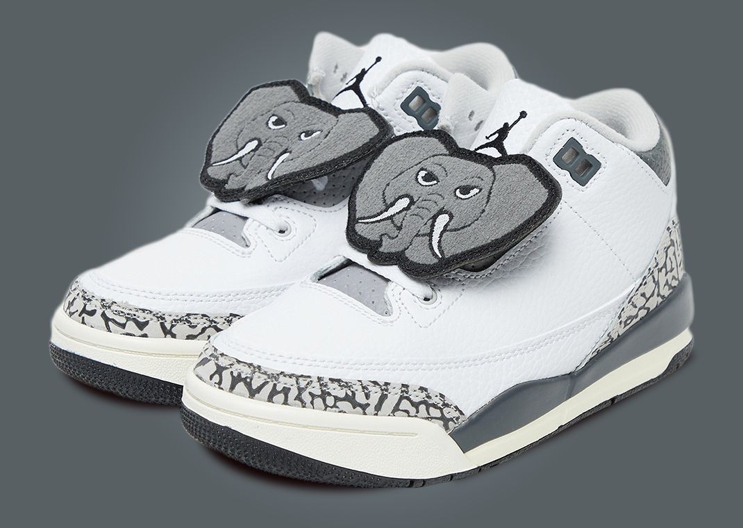 Air Jordan 3 Retro "Hide N' Sneaks" (GS)