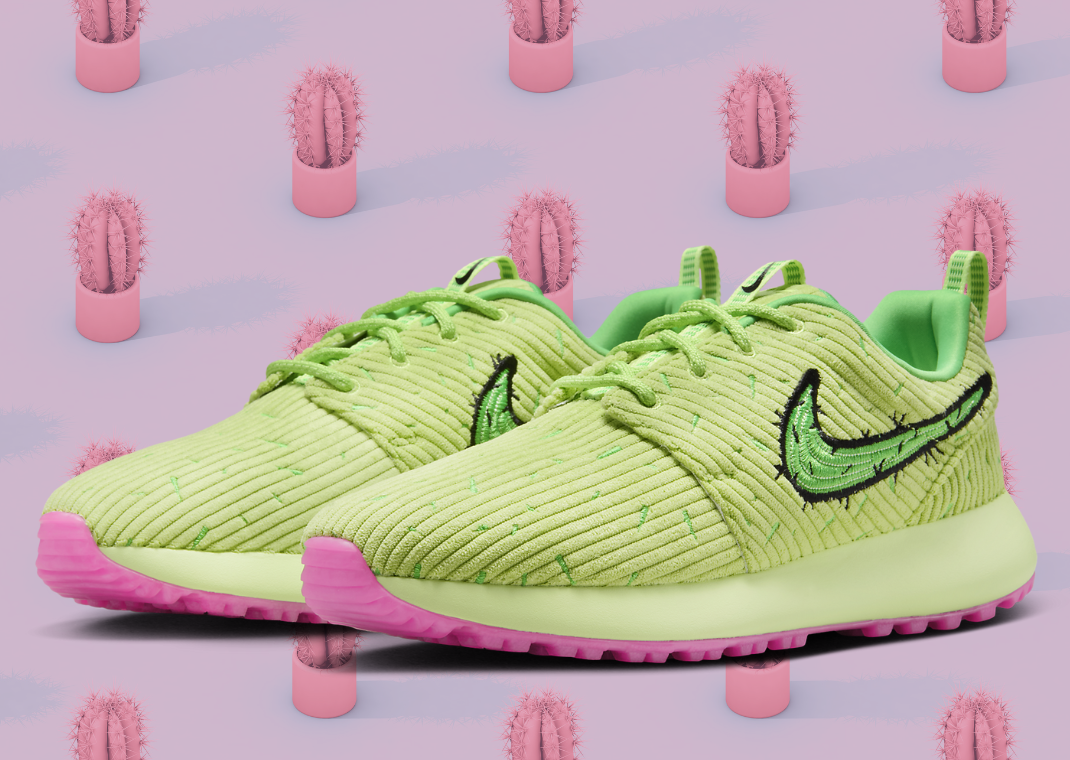 roshe run x supreme