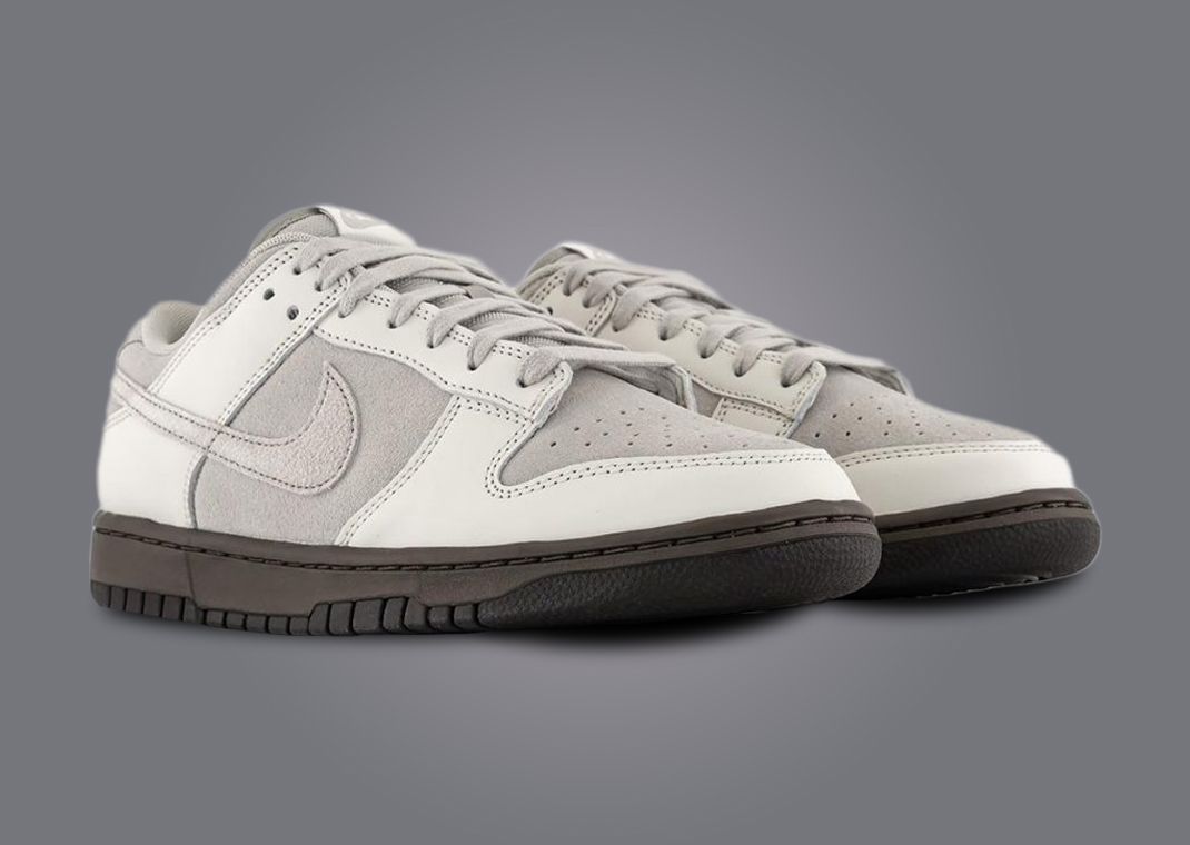 Nike Dunk Low Ironstone