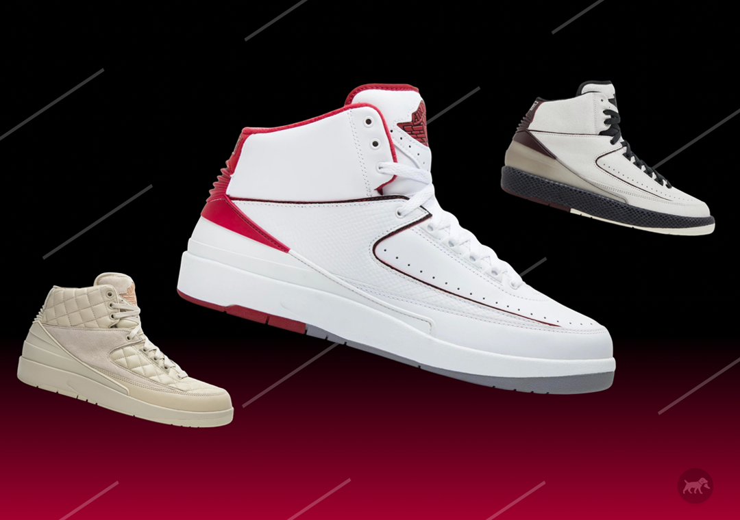 Air Jordan 2 Buyers Guide