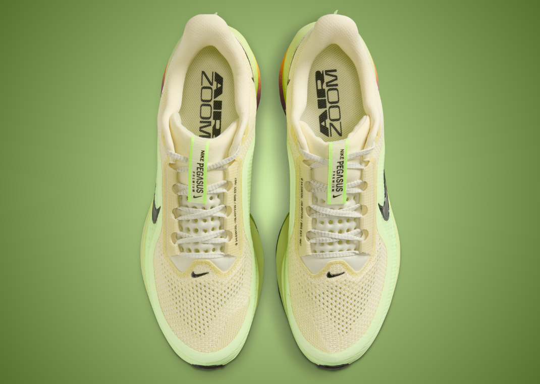 Nike Pegasus Premium Race Day Recharge - Top