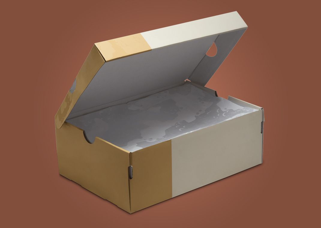 Air Jordan 3 Retro TEX WNBA Camo (W) Packaging Open