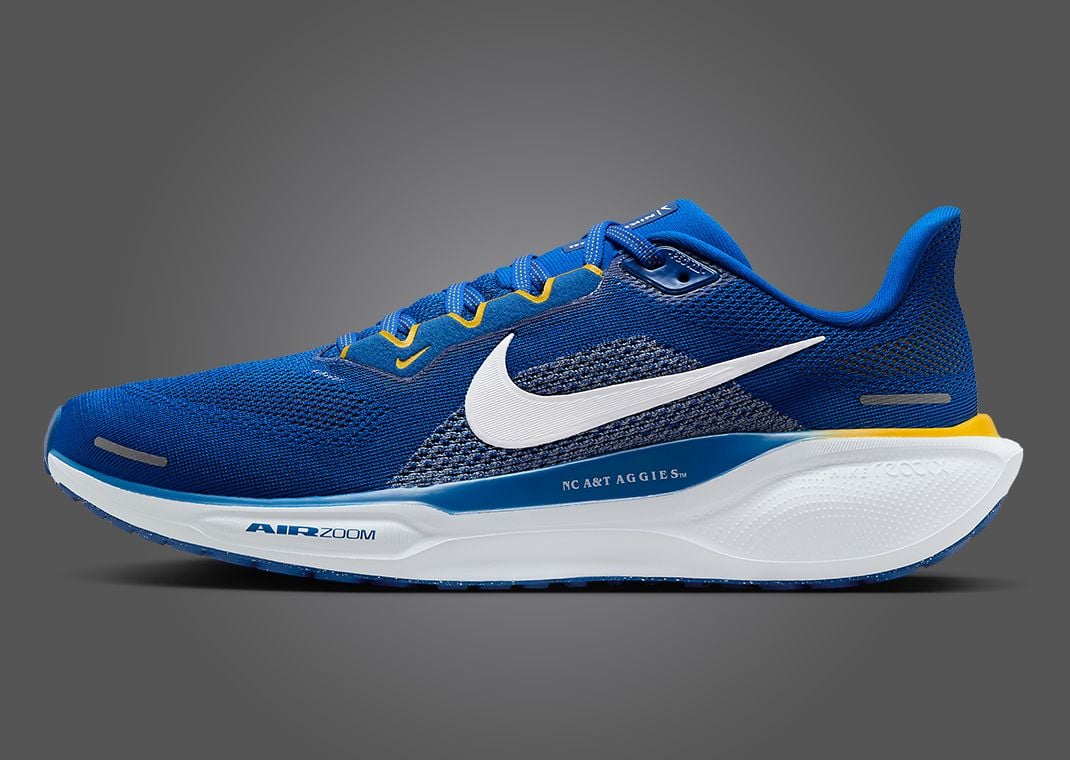 Nike Zoom Pegasus 41 NCAT