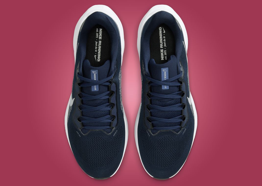 NCAA x Nike Pegasus 41 Penn State Top
