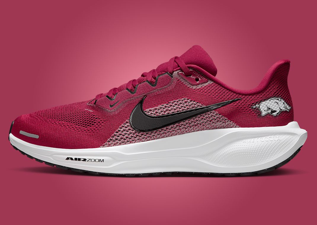 NCAA x Nike Pegasus 41 Arkansas Lateral