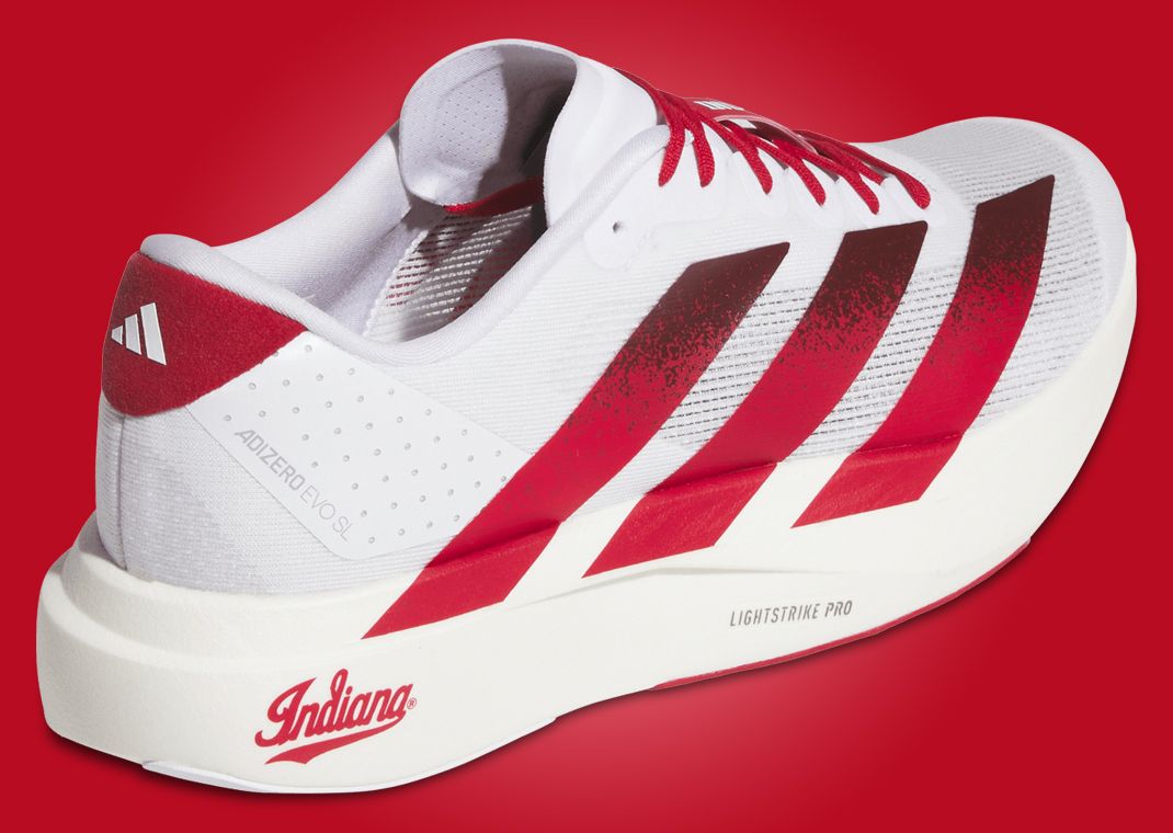 adidas Adizero Evo SL Indiana Heel Angle