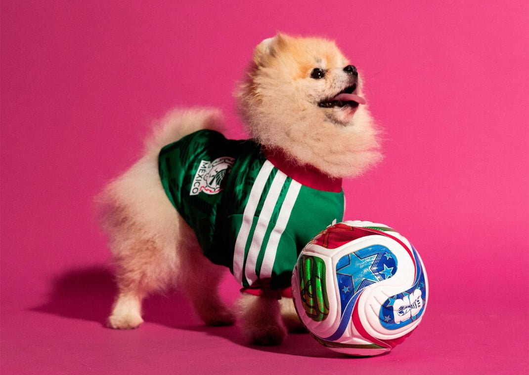 adidas World Cup Pet Jersey Mexico