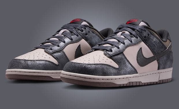 Nike Dunk Low NYC CBGB