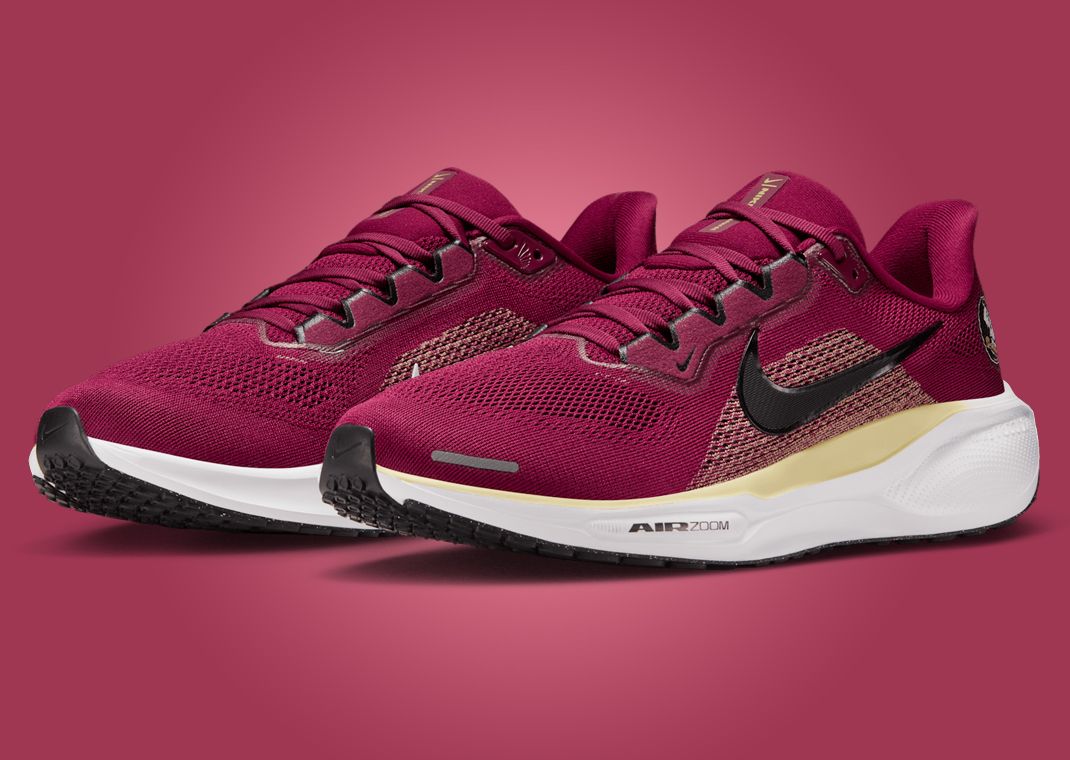 NCAA x Nike Pegasus 41 FSU Angle