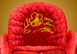 Nike LeBron NXXT Gen By JuJu With Love - Tongue Detail