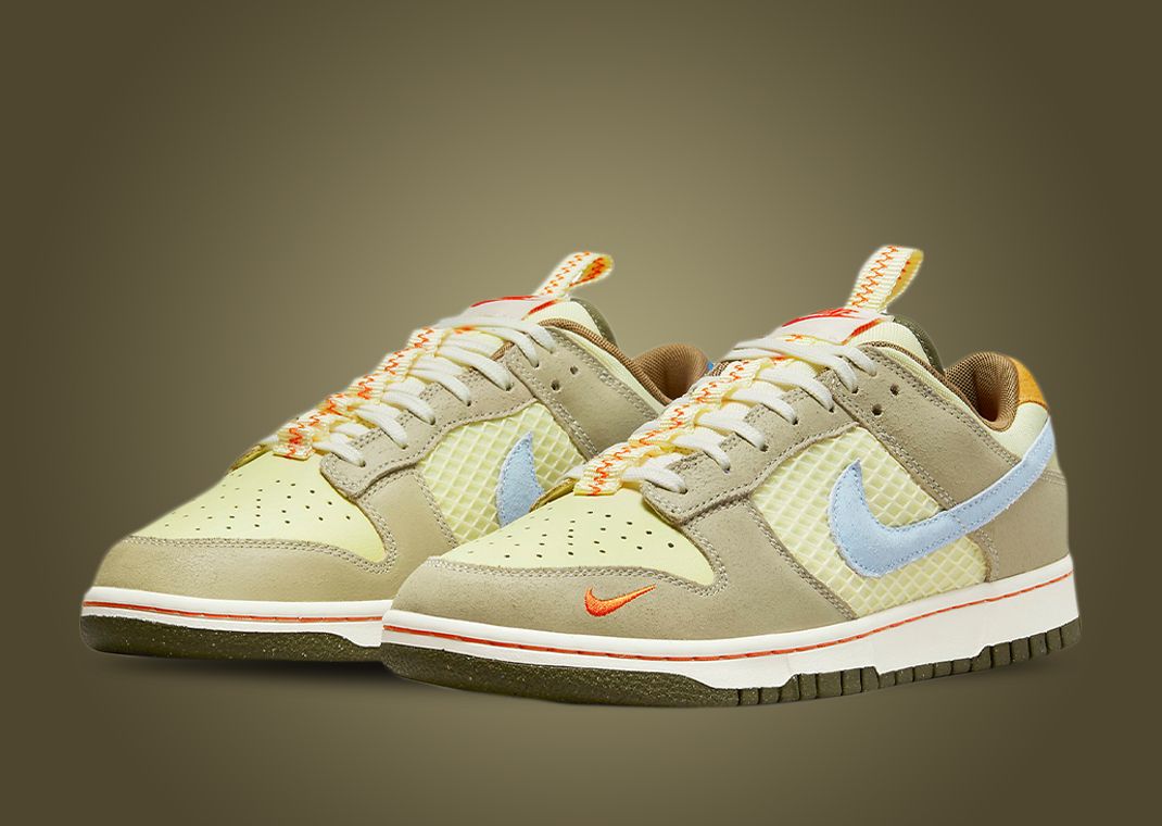 Nike Dunk Low Cartoon