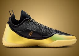 Nike LeBron 23 Elite Hurt Feelings Write History - Medial