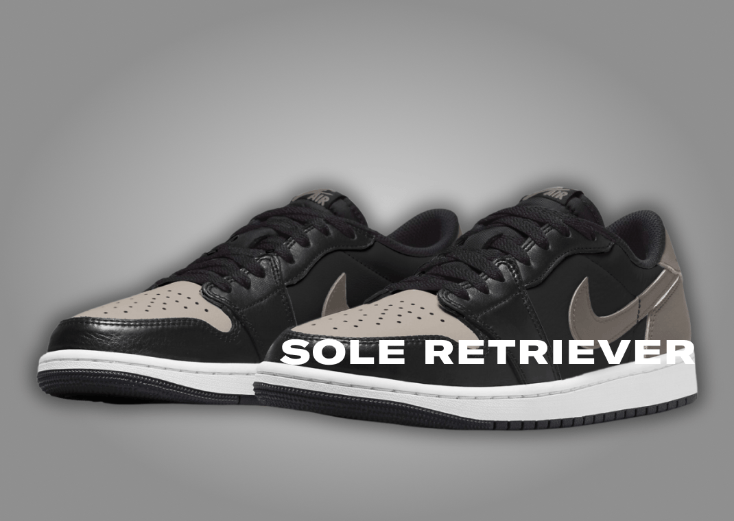 Air Jordan 1 Retro Low OG Shadow