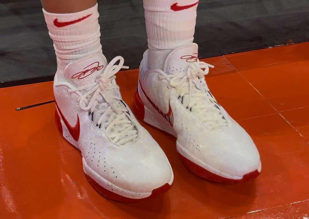 A'ja Wilson in the Nike LeBron 21 Team USA PE