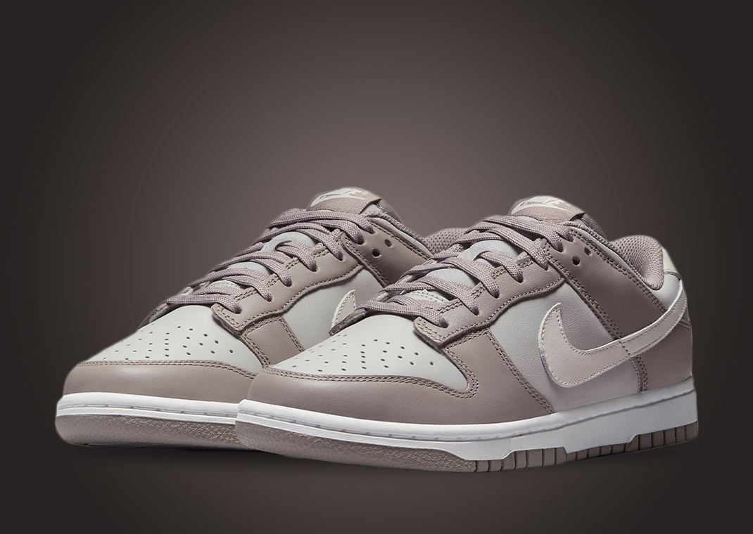 Nike Dunk Low Moon Fossil (W)