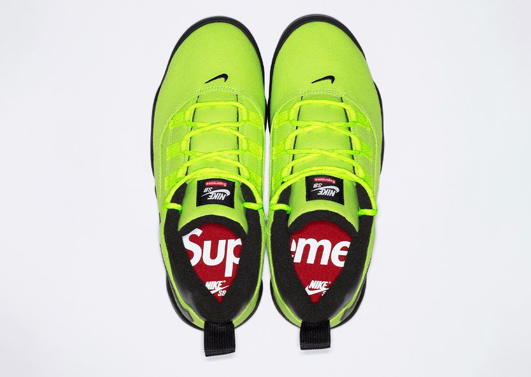 Supreme x Nike SB Darwin Low Volt Top
