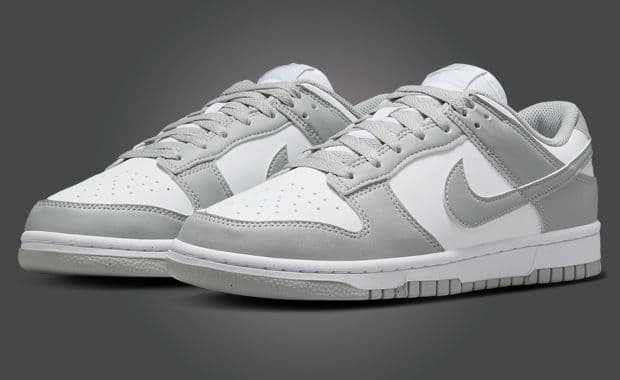 Nike Dunk Low NN White Light Smoke Grey (W)