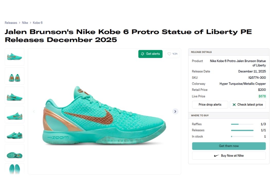 Jalen Brunson x Nike Kobe 6 Protro