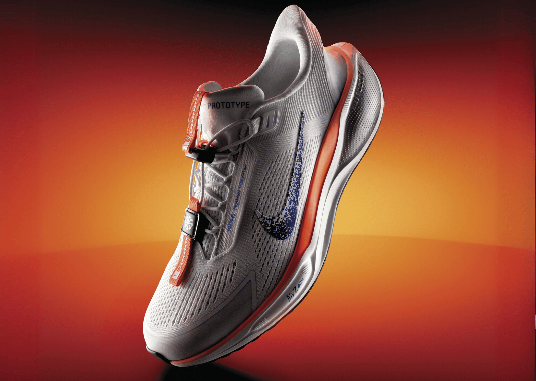 Nike Pegasus EasyOn Blueprint