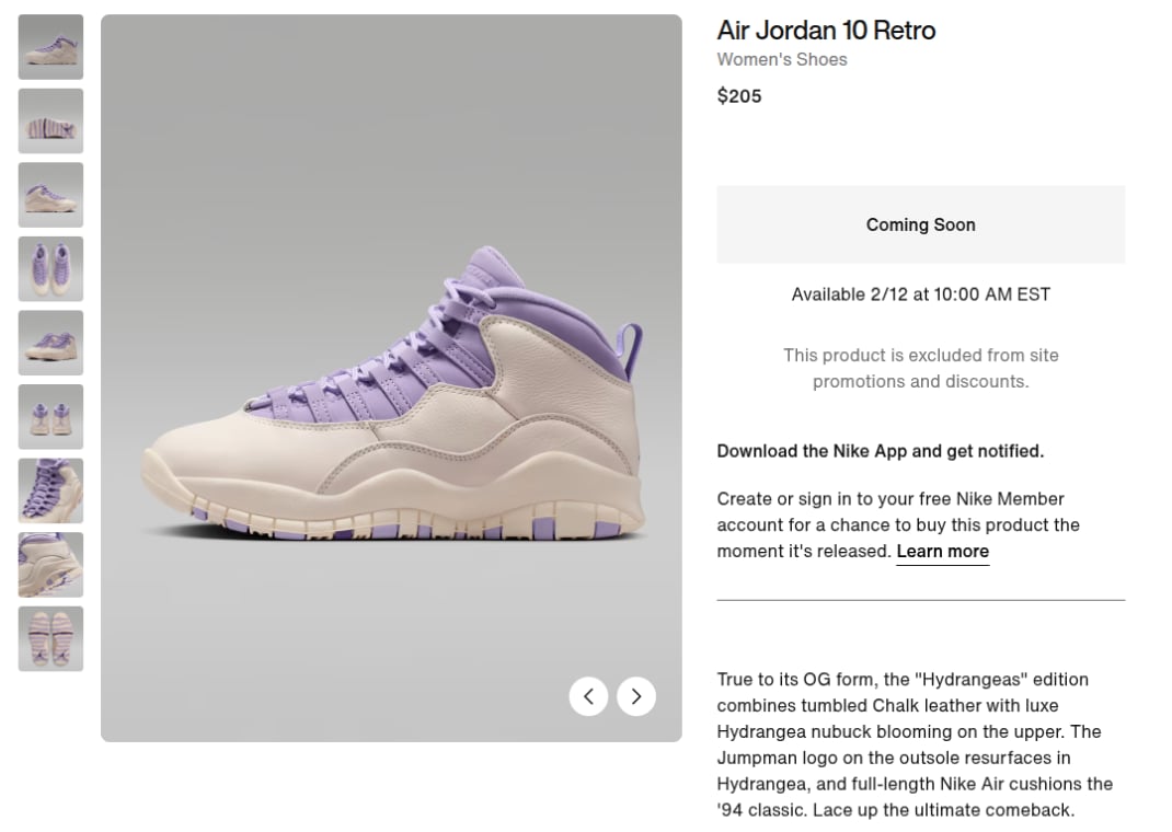 Air Jordan 10 Retro Hydrangea (W)