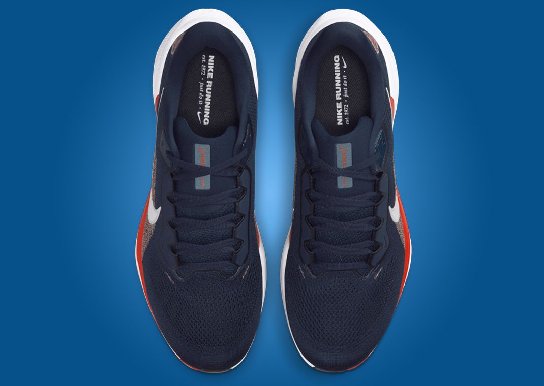 NFL x Nike Pegasus 41 Chicago Bears Top