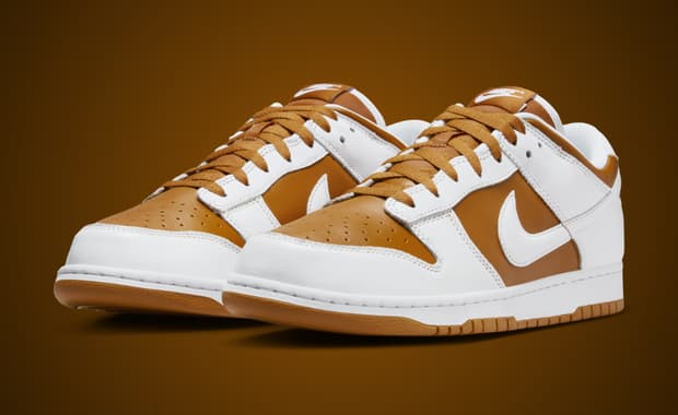 Nike Dunk Low Reverse Curry Angle