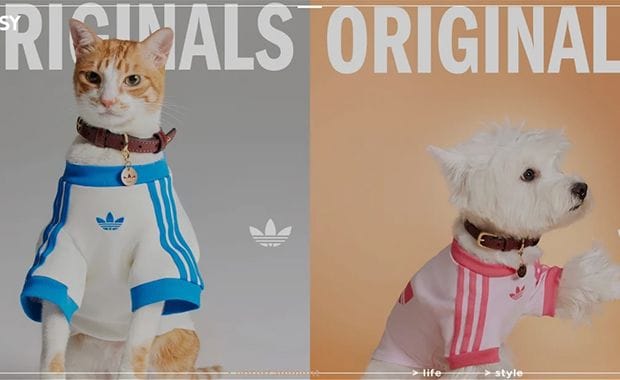 adidas Originals Has Shirts and Accessories for Your Pets