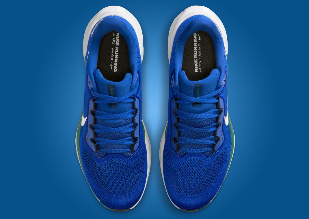 NFL x Nike Pegasus 41 Seattle Seahawks Top