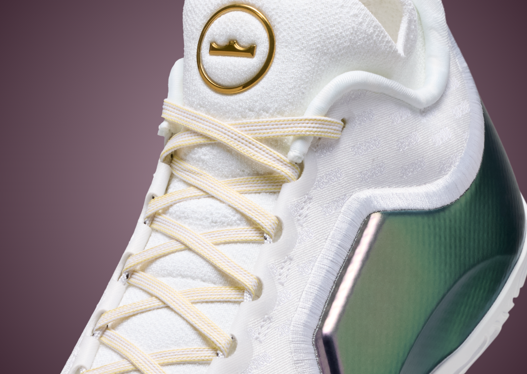 Nike LeBron 23 Elite For The Record - Detail