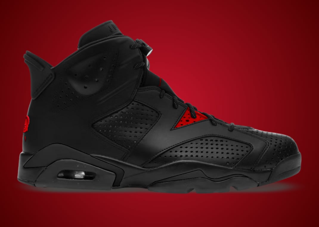 Air Jordan 6 Retro PRM Bin23