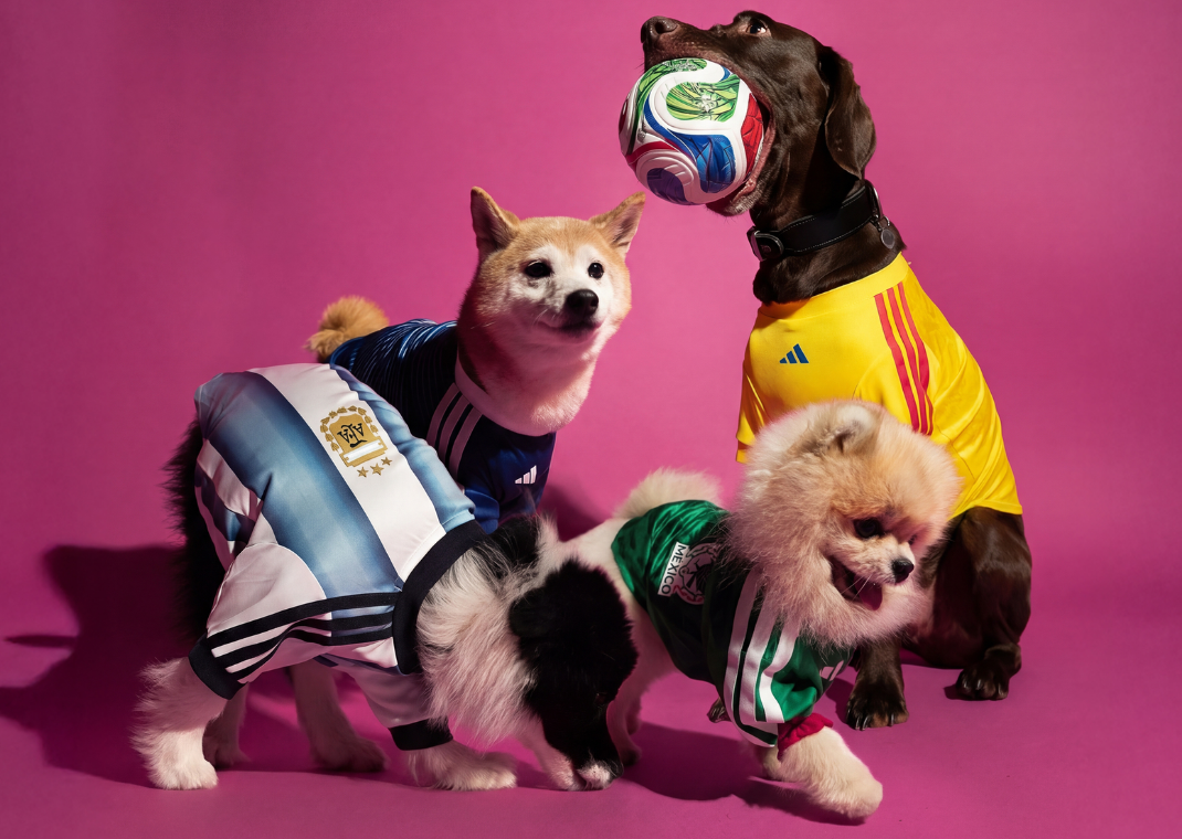 adidas World Cup Pet Collection