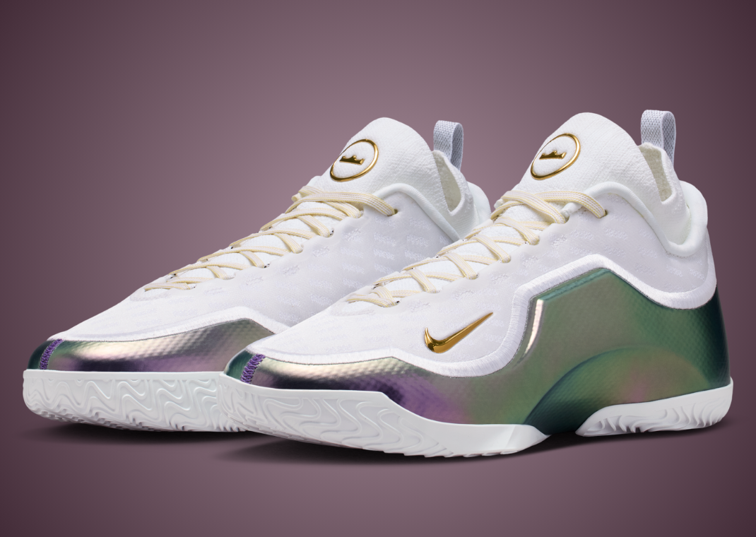 Nike LeBron 23 Elite For The Record - Angle