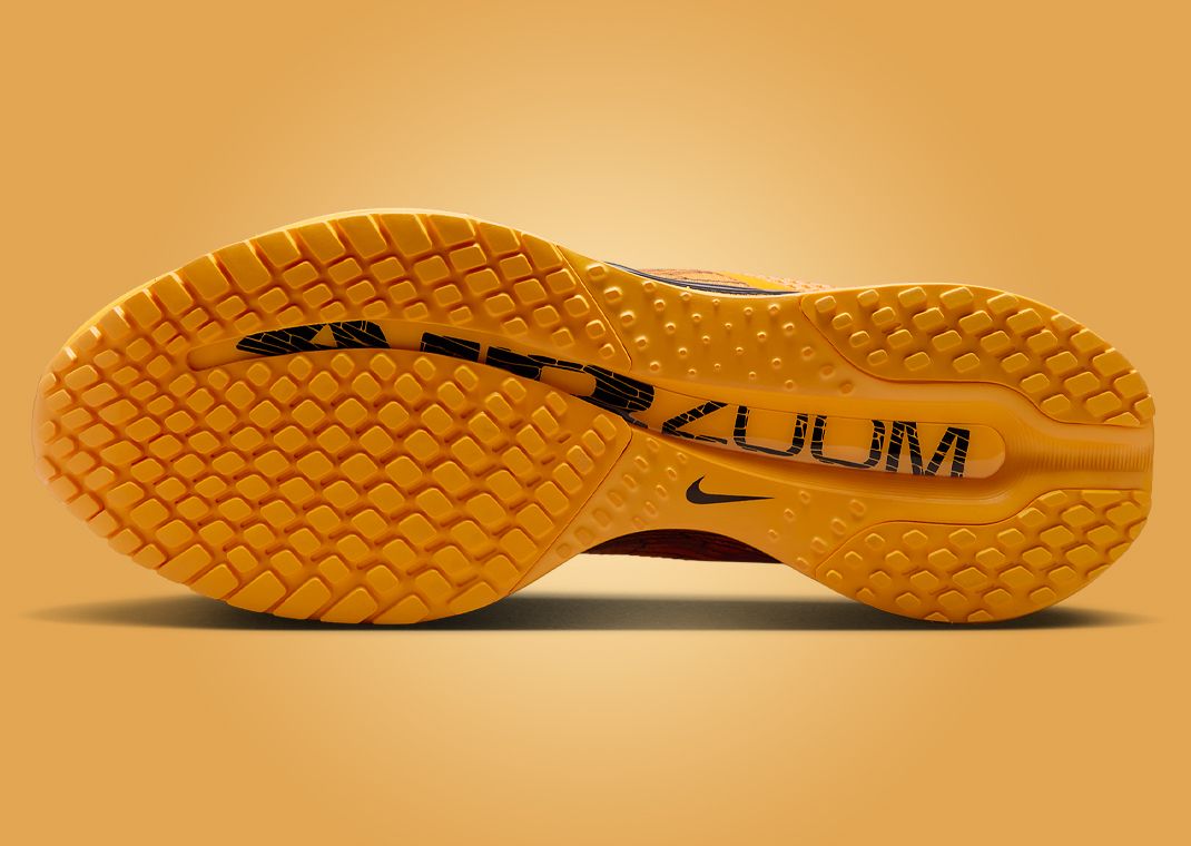Nike Pegasus Premium Modern Mayfly Outsole