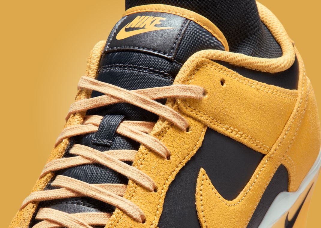 Nike Alpha Menace Dunk SE Iowa 