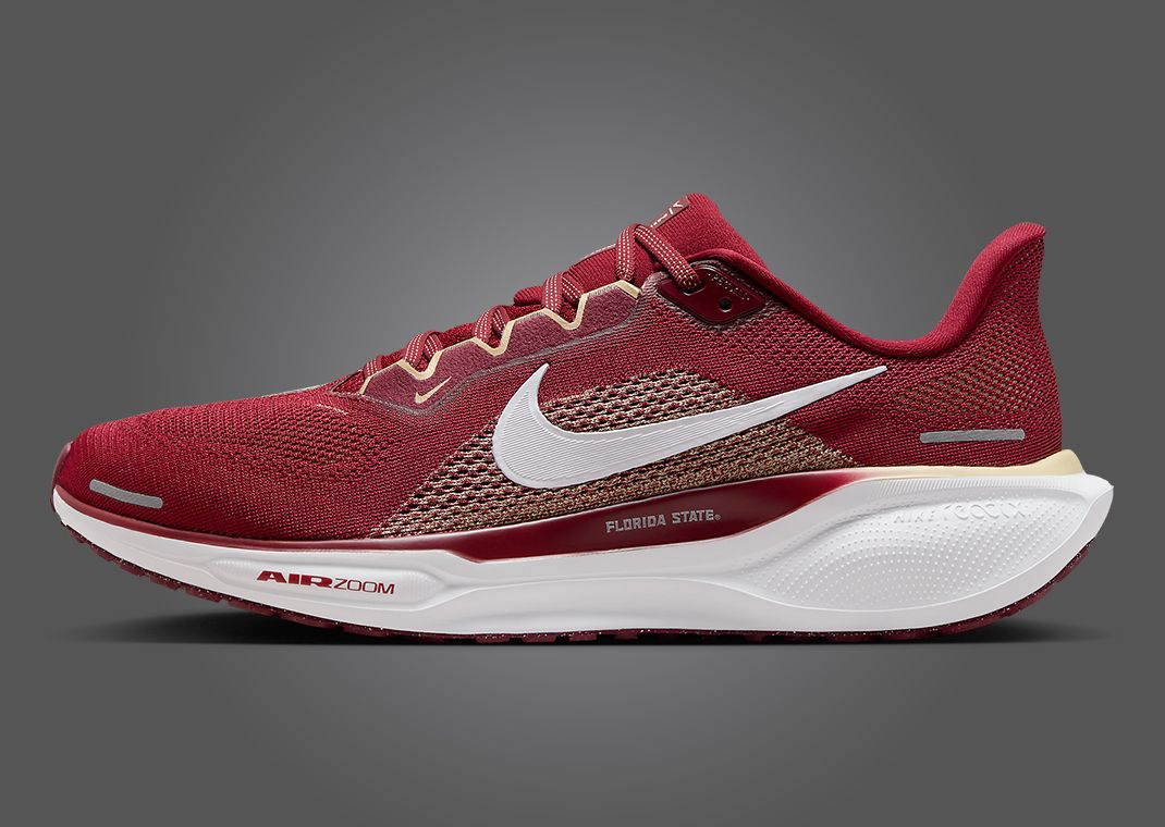 Nike Zoom Pegasus 41 FSU