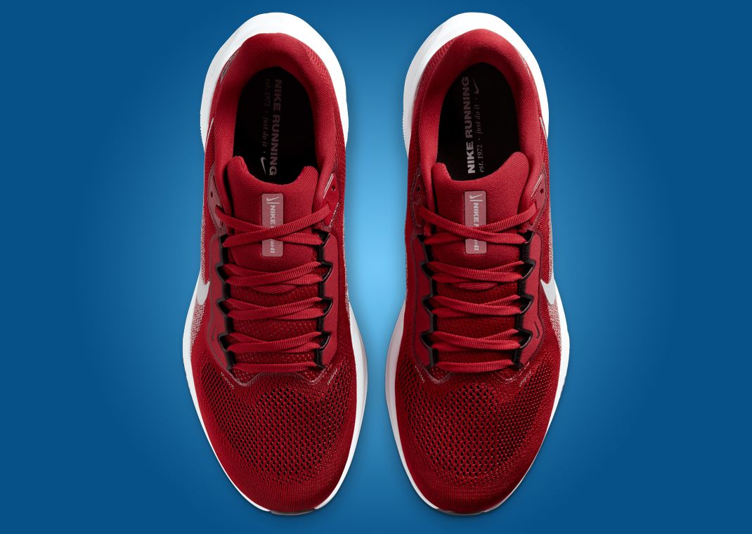 NFL x Nike Pegasus 41 Arizona Cardinals Top