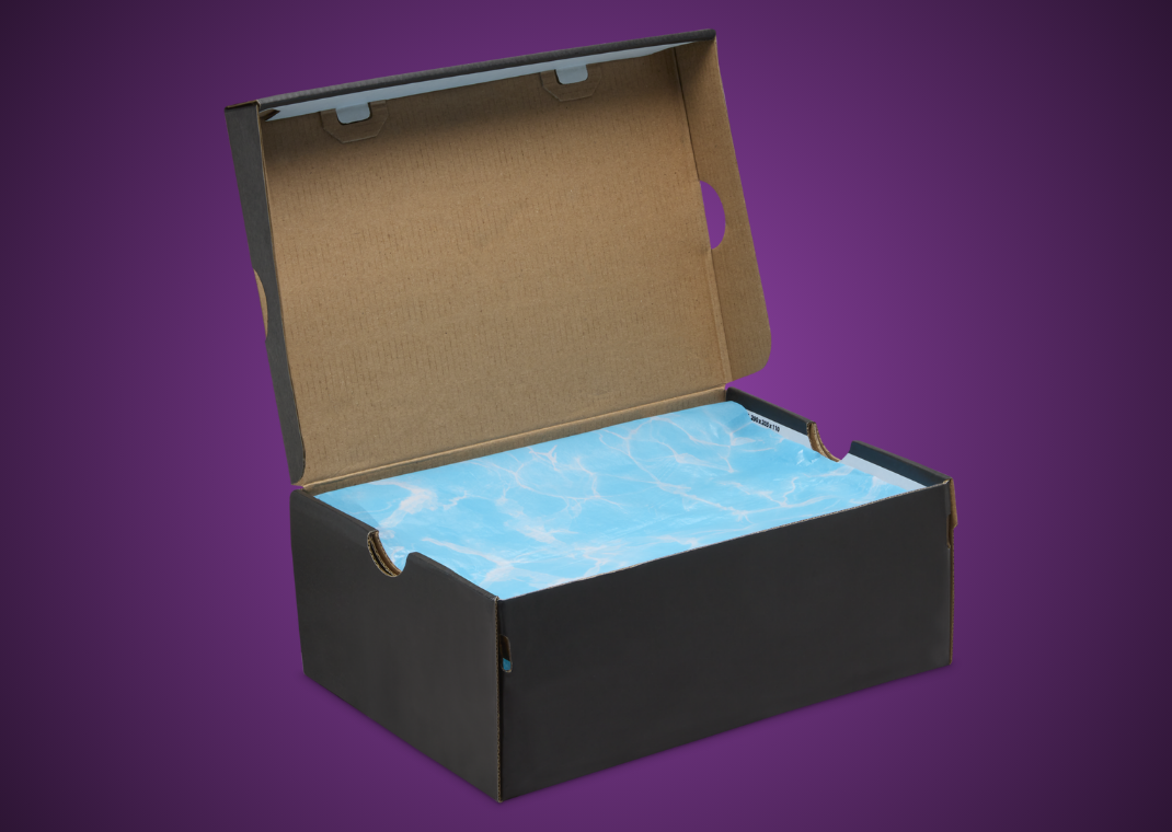 Air Jordan 4 Retro Hyper Violet (GS) Packaging