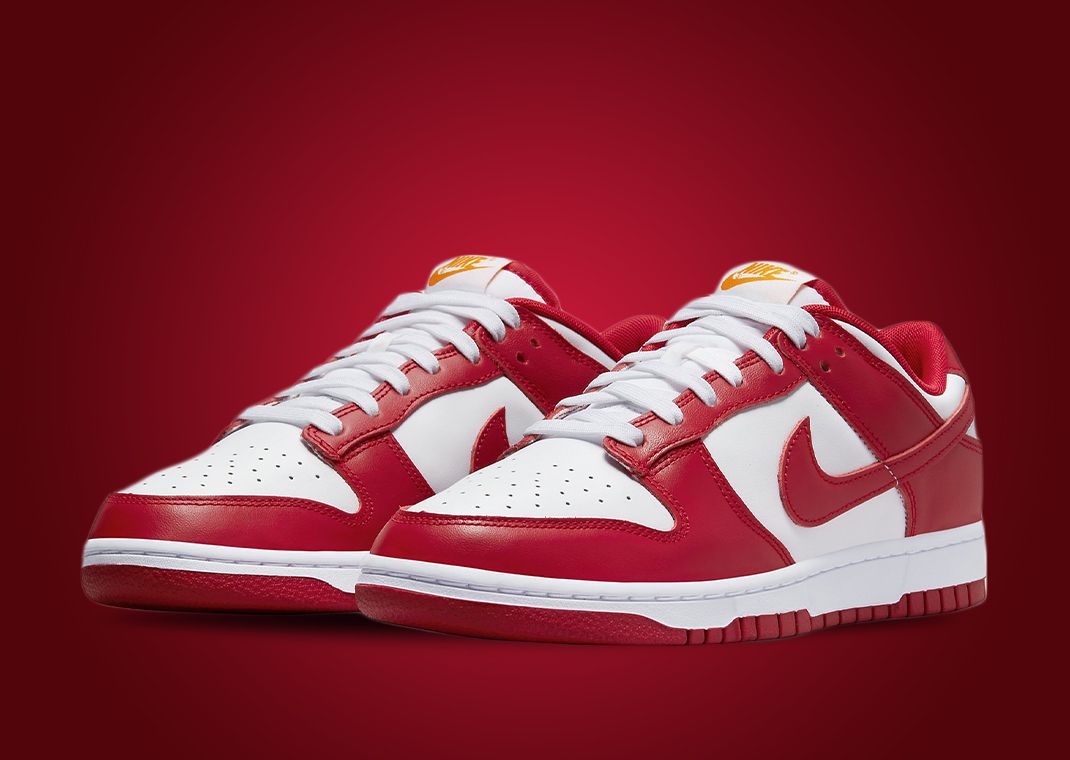 Nike Dunk Low USC