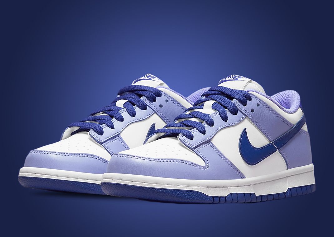 Nike Dunk Low Blueberry (GS)