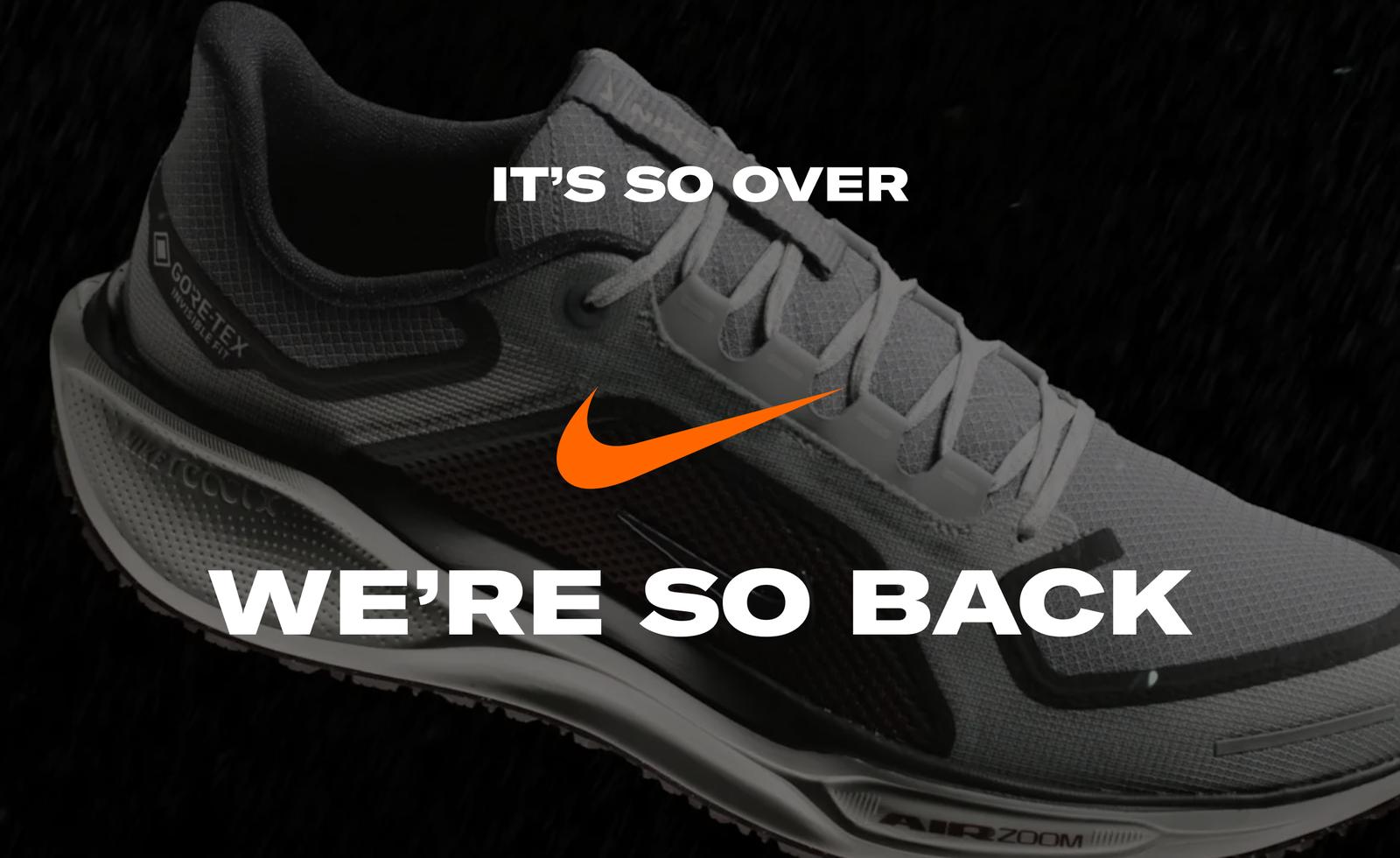 Nike Pegasus 41 Gore-Tex
