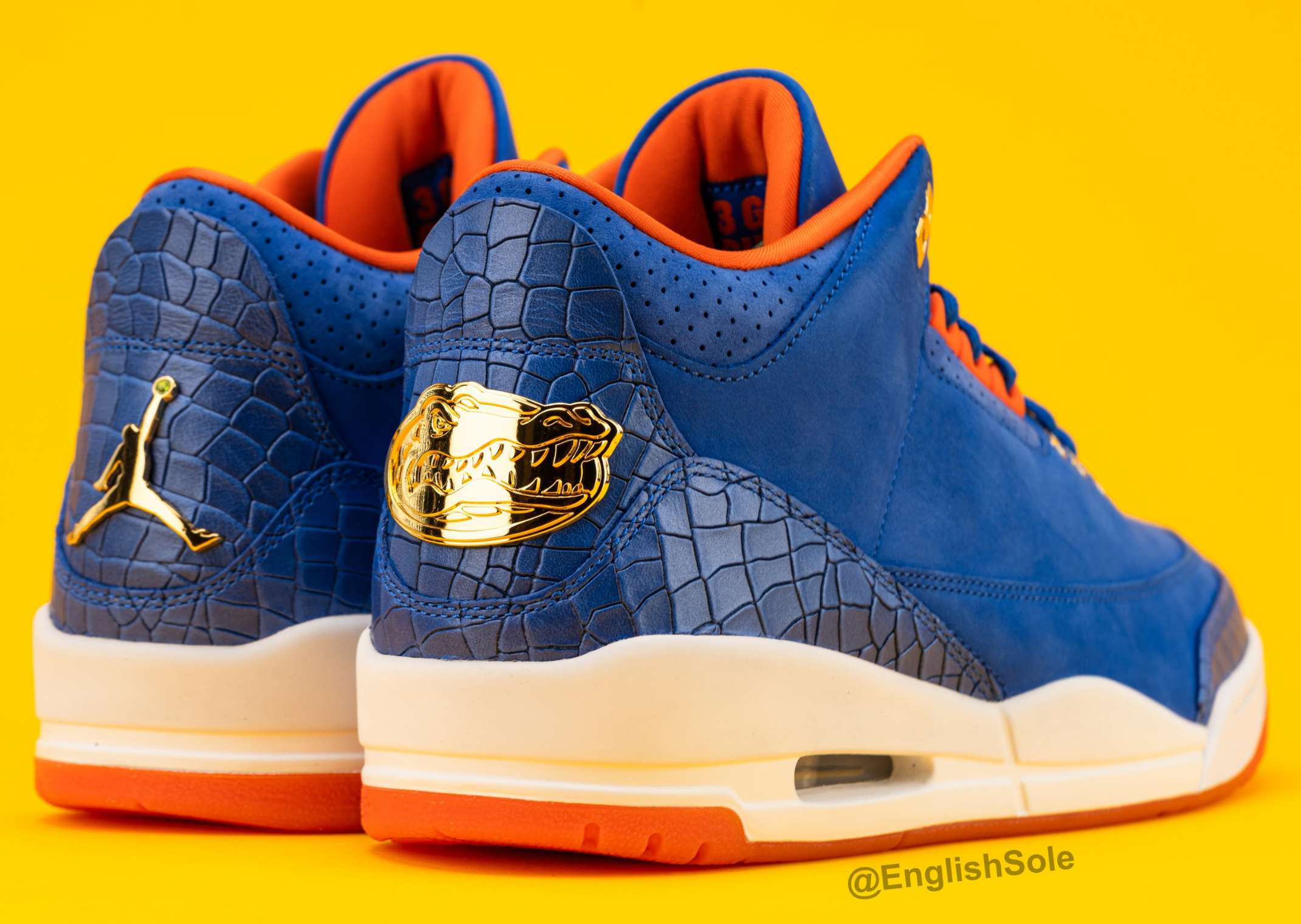 Air Jordan 3 Retro Florida Gators National Champions PE