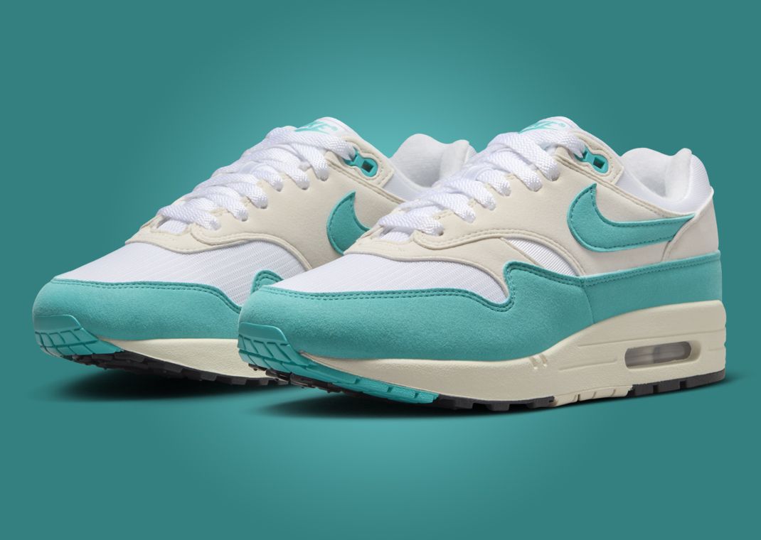 Nike Air Max 1 Dusty Cactus (W) Angle