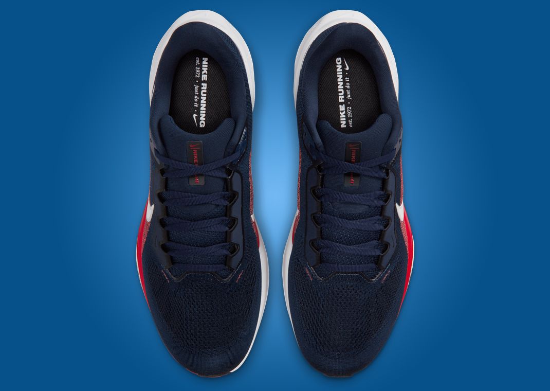 NFL x Nike Pegasus 41 New England Patriots Top
