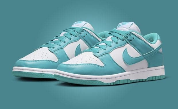 Nike Dunk Low NN Dusty Cactus (W) Angle