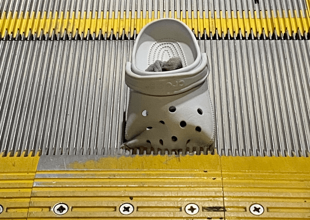 Croc Stuck In Escalator (Image via