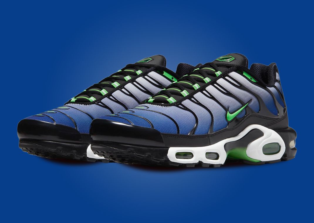 Nike Air Max Plus Icons