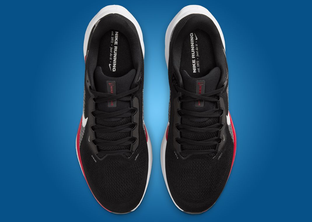 NFL x Nike Pegasus 41 Atlanta Falcons Top