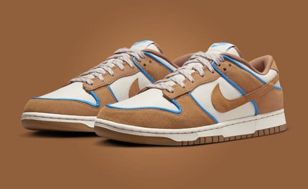 Nike Dunk Low Premium Front 9