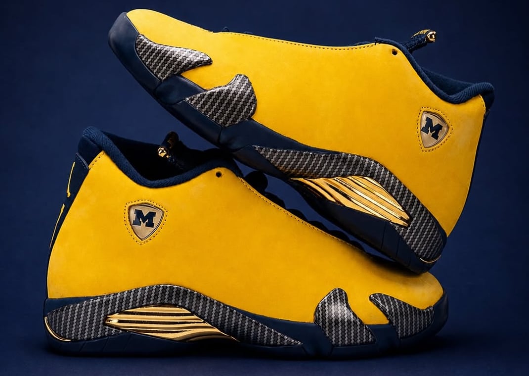 Michigan Wolverines Air Jordan 14 PE