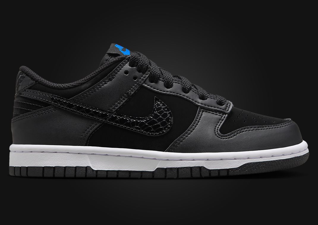 Nike Dunk Low SE Back To School Black (GS) Lateral Right